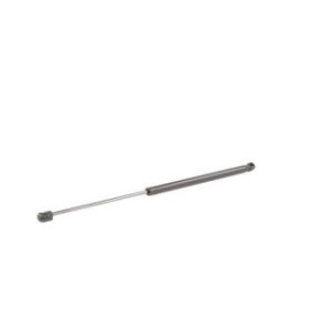 Tailgate Strut - RIDEX 219G0509