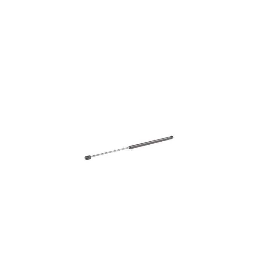 Tailgate Strut - RIDEX 219G0509