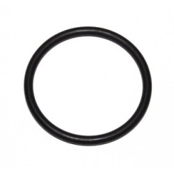 Seal Ring ELRING 219.711 OE 51.96501.0305