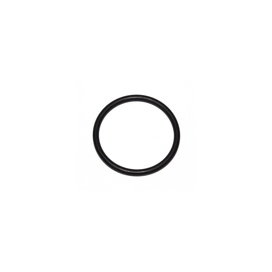 Seal Ring ELRING 219.711 OE 51.96501.0305