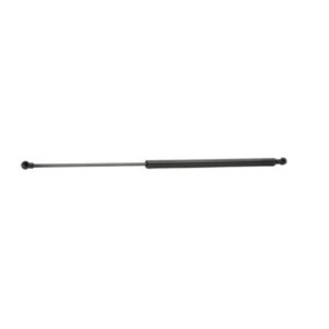 Tailgate Strut - RIDEX 219G0548