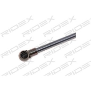 Tailgate Strut - RIDEX 219G0548