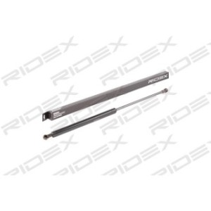 Tailgate Strut - RIDEX 219G0548