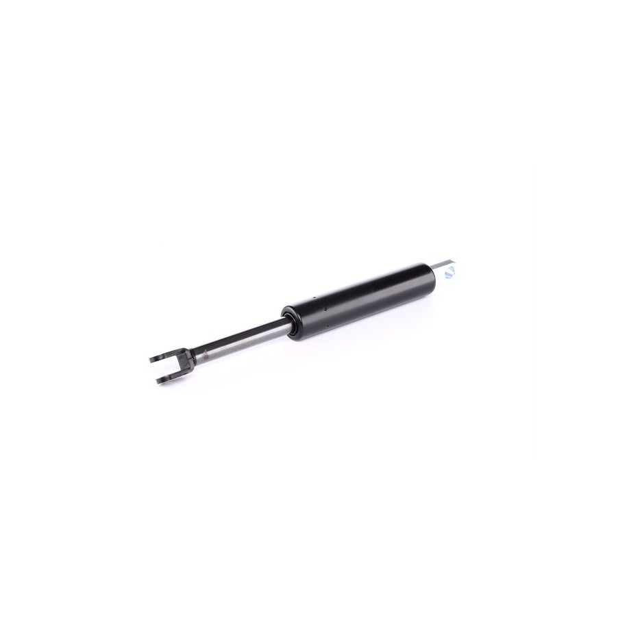 Tailgate Strut - RIDEX 219G0561