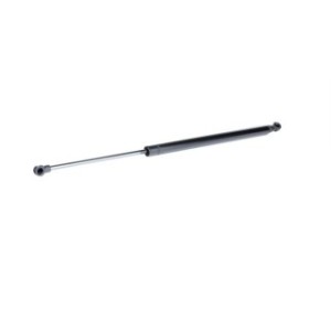 Tailgate Strut - RIDEX 219G0569