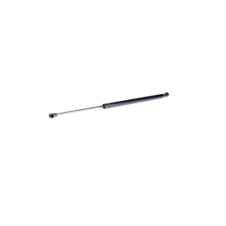 Tailgate Strut - RIDEX 219G0569