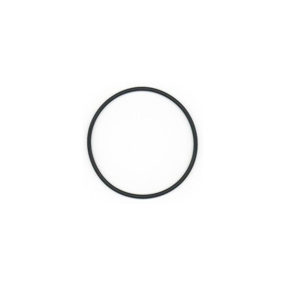 Seal Ring ELRING 493.270 OE 4579970945