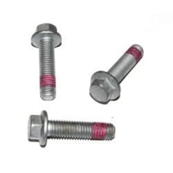 Screw ELRING 729.621 OE 1372411