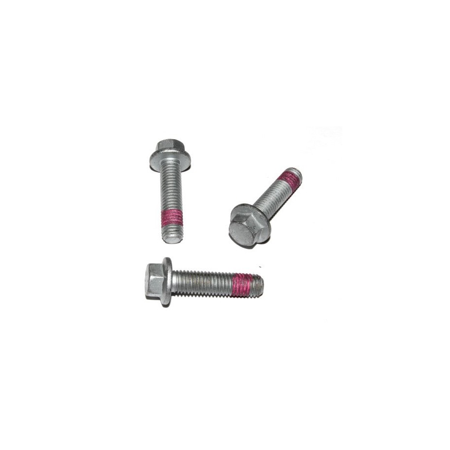 Screw ELRING 729.621 OE 1372411