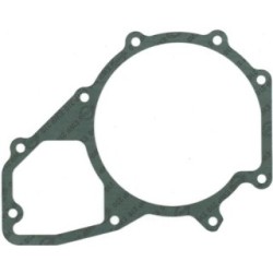 Water Pump Gasket ELRING 756.882 for AYATS BREDAMENARINIBUS