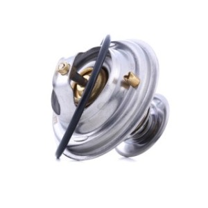 Coolant Thermostat - RIDEX 316T0105