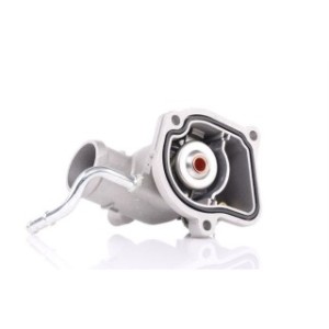 Coolant Thermostat - RIDEX 316T0114