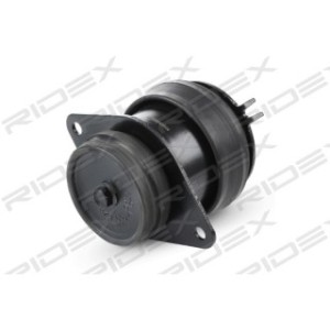 Engine Mounting - RIDEX 247E0201
