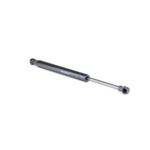 Tailgate Strut - RIDEX 219G0578