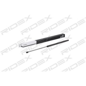 Tailgate Strut - RIDEX 219G0587