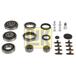 Manual Transmission Repair Kit LUK 462033110 for FORD MAZDA