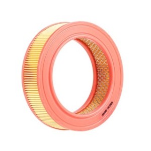Air Filter - RIDEX 8A0618