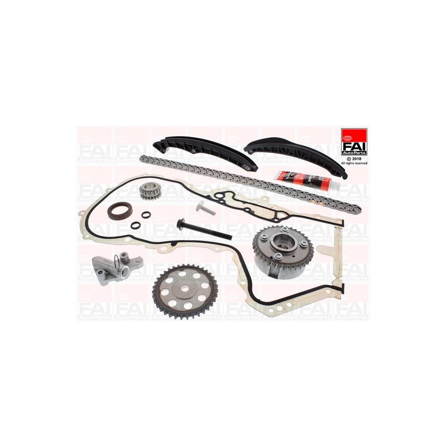 Timing Chain Kit FAI TCK202L2VVT for SEAT SKODA