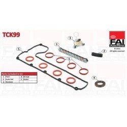 Timing Chain Kit FAI TCK99 for CITROEN FIAT FORD LANCIA