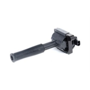 Ignition Coil - RIDEX 689C0288