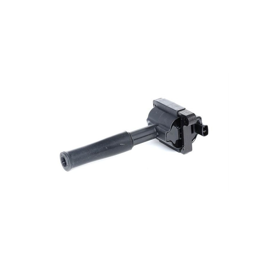 Ignition Coil - RIDEX 689C0288