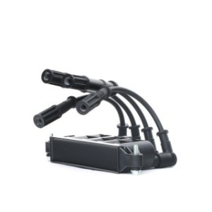 Ignition Coil - RIDEX 689C0290