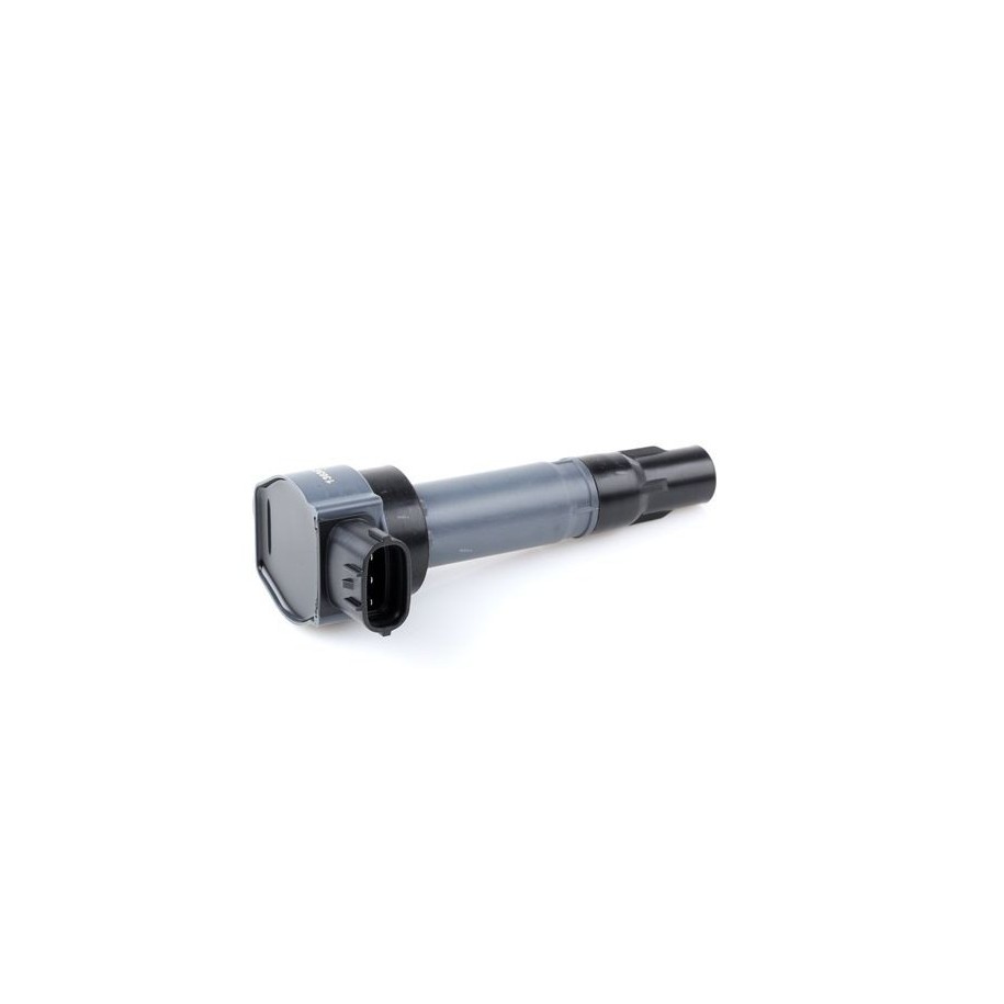 Ignition Coil - RIDEX 689C0301
