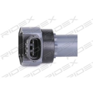 Ignition Coil - RIDEX 689C0301