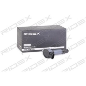 Ignition Coil - RIDEX 689C0301