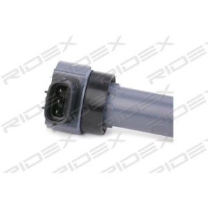 Ignition Coil - RIDEX 689C0301