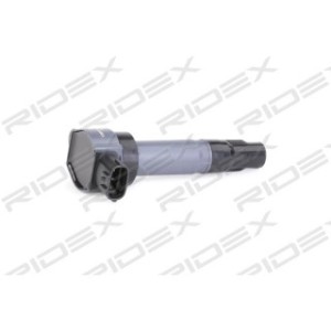 Ignition Coil - RIDEX 689C0301