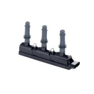 Ignition Coil - RIDEX 689C0304