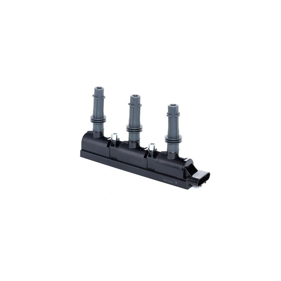 Ignition Coil - RIDEX 689C0304