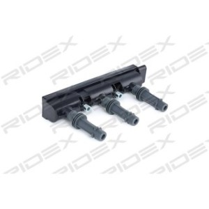 Ignition Coil - RIDEX 689C0304