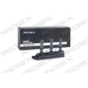 Ignition Coil - RIDEX 689C0304