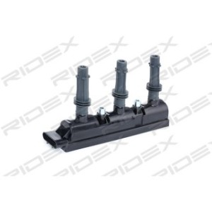 Ignition Coil - RIDEX 689C0304