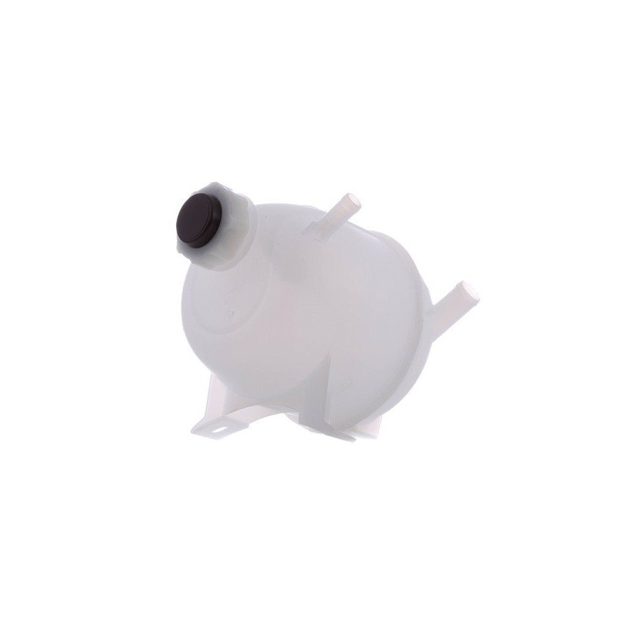 Coolant Expansion Tank - RIDEX 397E0046