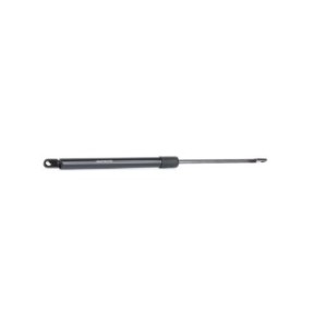 Tailgate Strut - RIDEX 219G0661