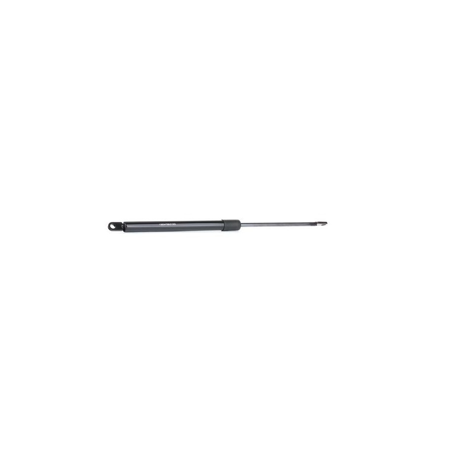 Tailgate Strut - RIDEX 219G0661