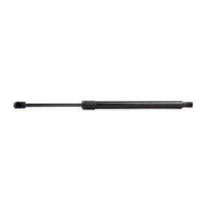 Tailgate Strut - RIDEX 219G0674