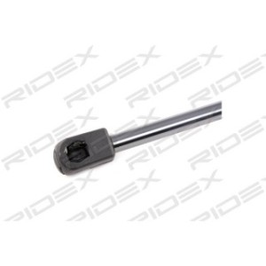 Tailgate Strut - RIDEX 219G0674