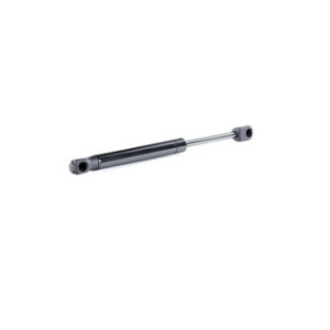 Tailgate Strut - RIDEX 219G0678
