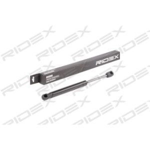 Tailgate Strut - RIDEX 219G0678