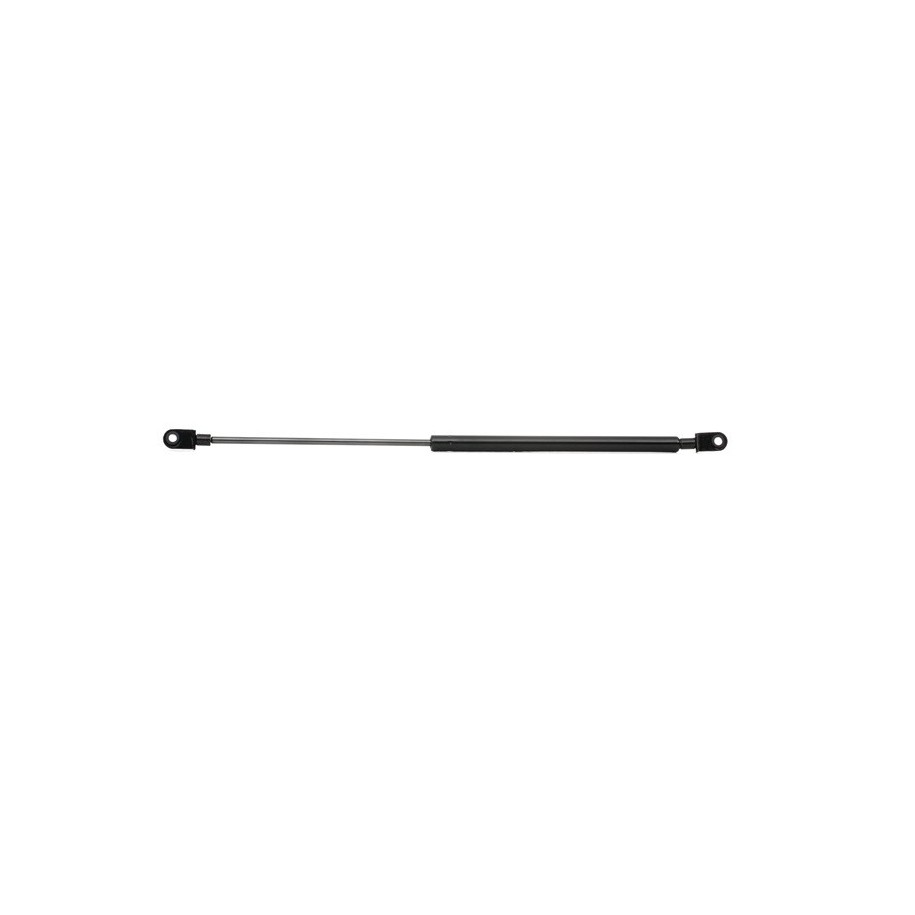 Tailgate Strut - RIDEX 219G0681