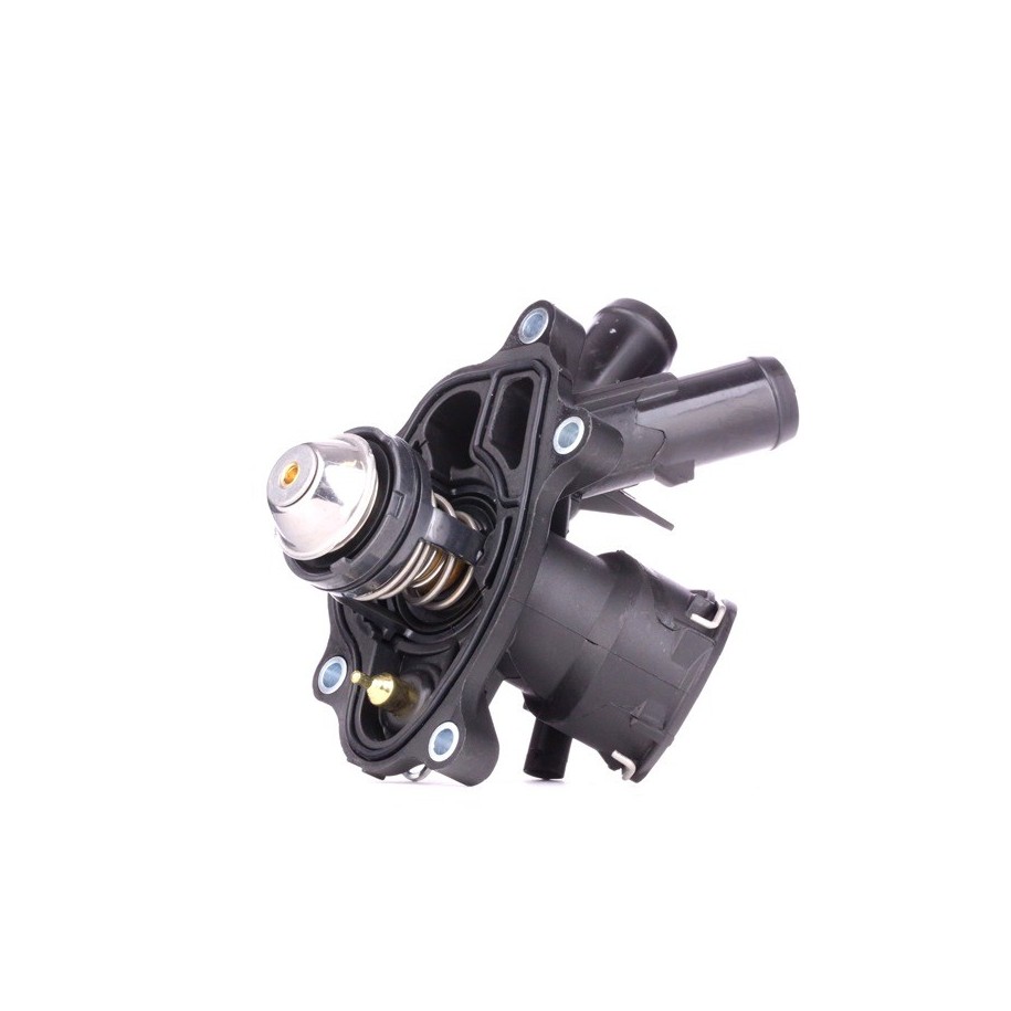 Coolant Thermostat - RIDEX 316T0179