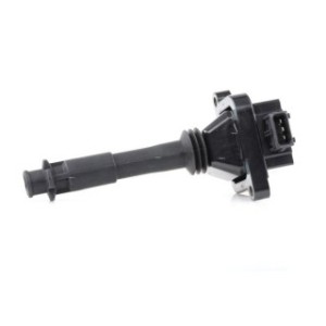 Ignition Coil - RIDEX 689C0306