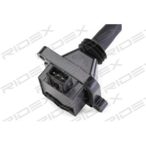 Ignition Coil - RIDEX 689C0306