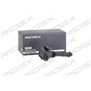 Ignition Coil - RIDEX 689C0306