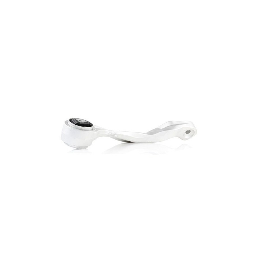 Control Trailing Arm - RIDEX 273C0895