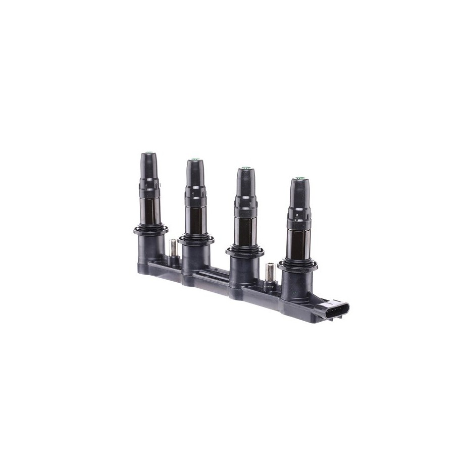 Ignition Coil - RIDEX 689C0310